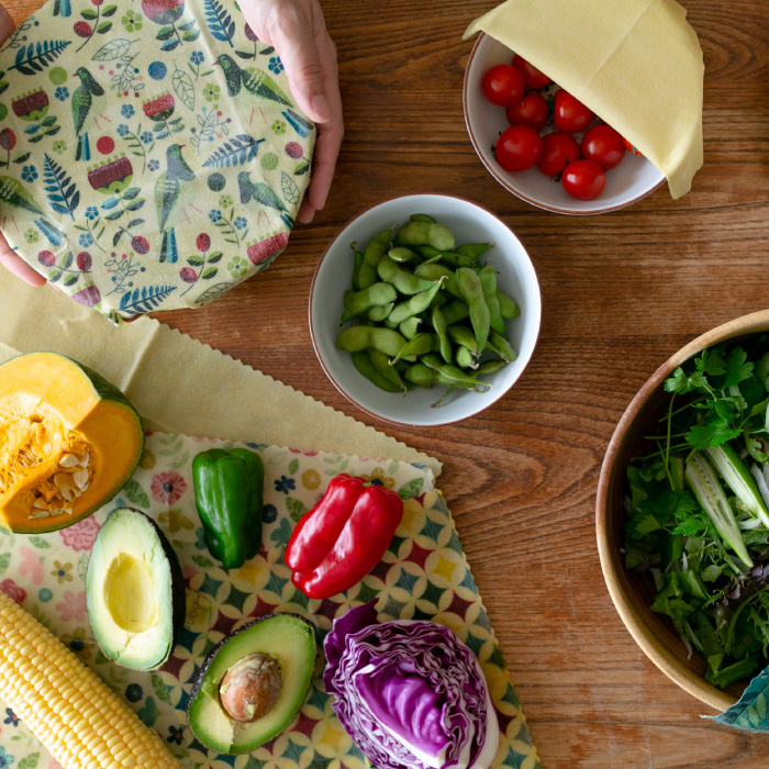 いつもの行動を変えるだけ!おうち時間に手軽に取り組めるエコ活動あれこれ