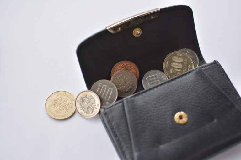 新年は財布も新しく！キャッシュレスぴったりな【ミニ財布】にチェンジしてしよう