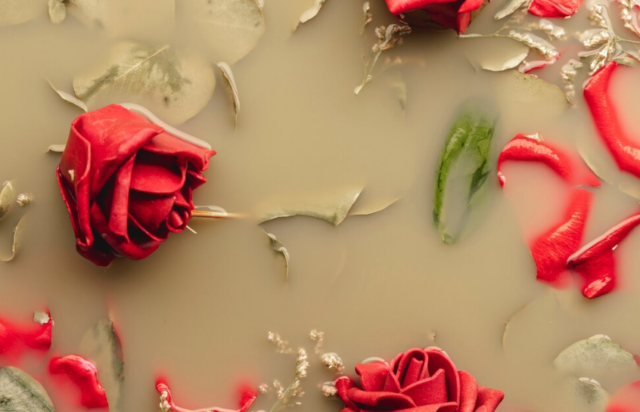 ドライフラワーの作り方とおすすめの種類!モダンなお部屋に仕上げよう