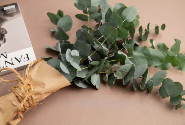 ドライフラワーの作り方とおすすめの種類!モダンなお部屋に仕上げよう