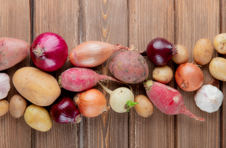 秋が旬の根菜｜種類や栄養、おすすめの食べ方を知って内側から健康に！