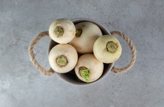 秋が旬の根菜｜種類や栄養、おすすめの食べ方を知って内側から健康に！