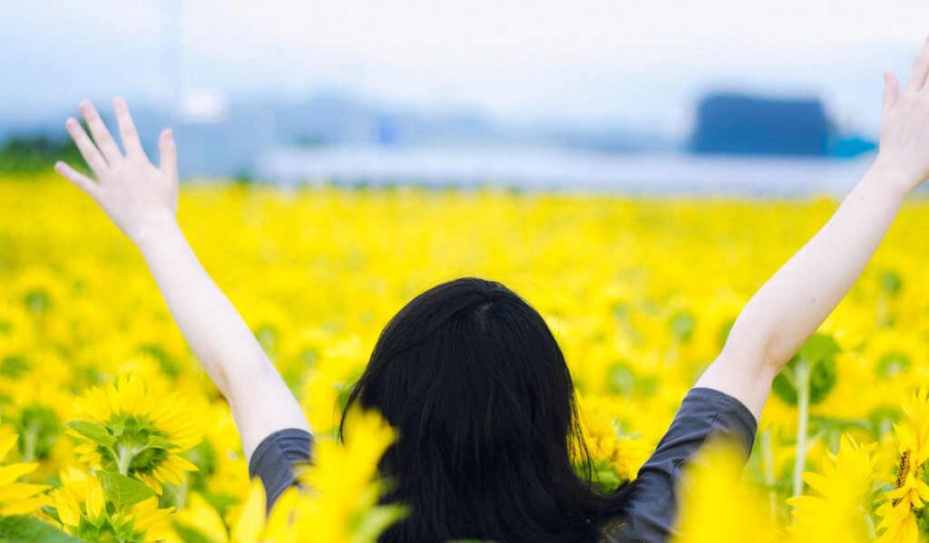 ウィキッド後編の前に！おうちで見たいおすすめミュージカル映画8選